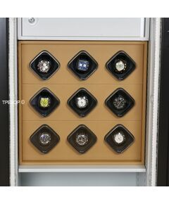 Модуль сейфа для часов